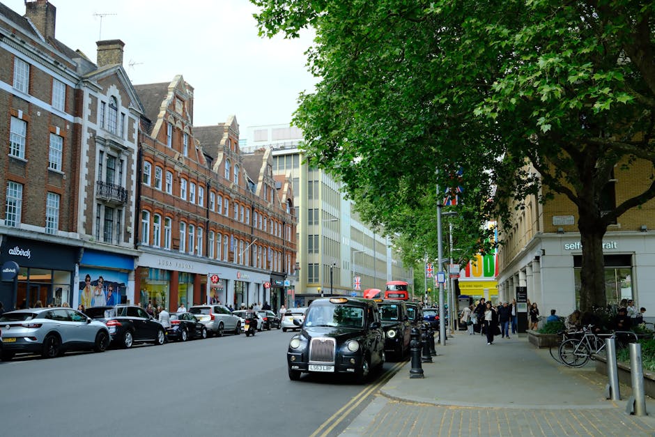A row of elegant Victorian-style terraced buildings with white facades and intricate architectural details, situated along a tree-lined street in Maida Vale. The trees are leafless, indicating a winter or early spring setting, with their bare branches extending upward. Cars of various colors are parked along the curb, some with visible license plates, under a bright blue sky with a few scattered clouds. The scene captures a quiet urban residential area, emphasizing clean surfaces and well-maintained exteriors, reflecting the local environment where professional domestic cleaning services, such as those provided by Maida Vale Carpet Cleaning, may operate.