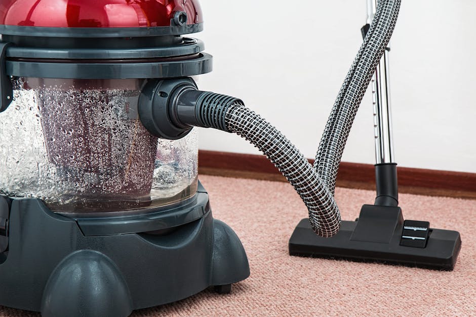 A woman with curly hair wearing a grey jacket, dark jeans, and white sneakers is performing surface cleaning in a living room. She is using a yellow vacuum cleaner with a long, black hose and a cleaning head attachment to deep clean a patterned, beige and blue area rug placed on a wooden floor. The room features a wooden sideboard along the wall with decorative items, and natural light illuminates the space, highlighting the carpet's cleanliness. The scene depicts domestic cleaning, emphasizing hygiene and maintenance by Maida Vale Carpet Cleaning, which specializes in carpet and surface sanitisation services in Maida Vale.